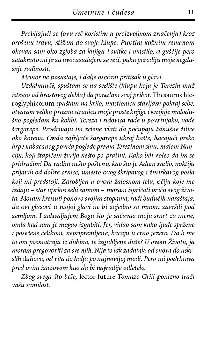 Umetnine I Čudesa, Gregori Norminton - pogled 4