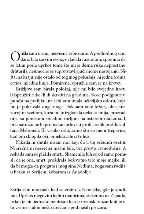 Noć Kaligrafa, Jasmin Gata - pogled 4