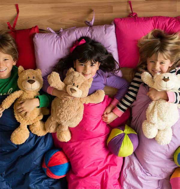 Plišani ljubimac koji se pretvara u loptu Buddy Balls Zmaj 52073 - pogled 4