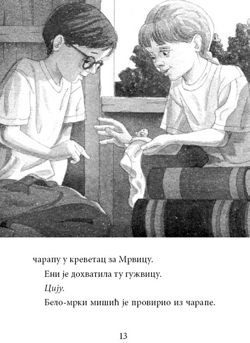 Čarobna Kućica Na Drvetu : Popodne Na Amazonu, Meri Poup Ozborn - pogled 4