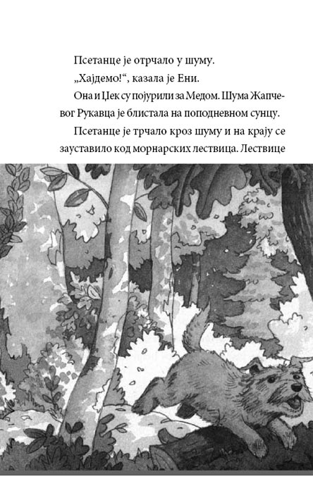 Čarobna Kućica Na Drvetu : Tigrovi U Sumrak , Meri Poup Ozborn - pogled 4