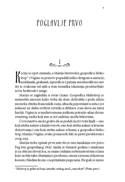 Tajna Mesečeve Zemlje, Elizabet Gudž - pogled 4