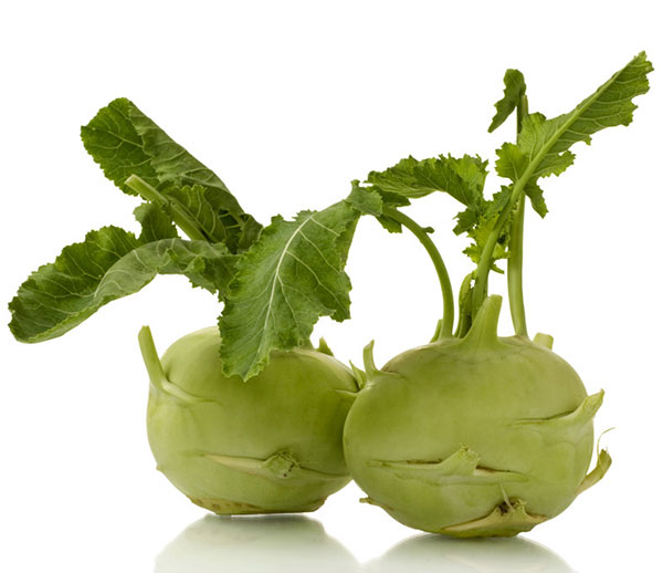 Seme za povrće - Keleraba dunavska bela -  Brassica oleracea L. var. gongylodes 136 - pogled 4