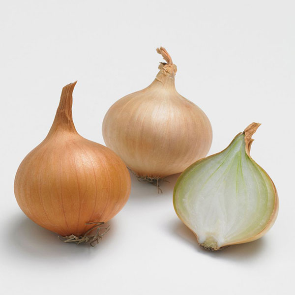 Crni luk - holandski žuti - seme - Allium cepa L. 595 - pogled 4