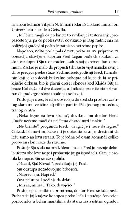 Pod Šarenim Svodom, Brus Fejler - pogled 4