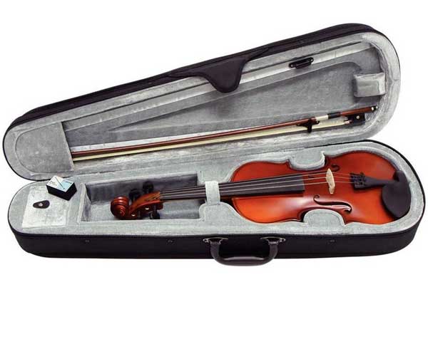 Gewa Pure Outfit HW violina 4/4 - pogled 4