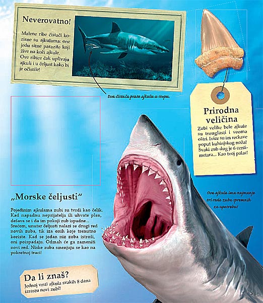 LaRousse - Životinje rekorderi, Lidvin i Stefani Morvan - pogled 4