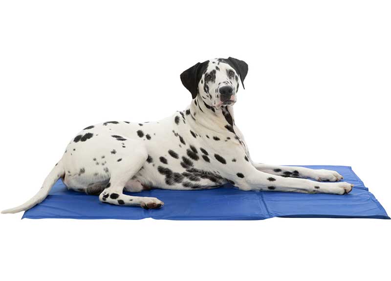 Rashladna prostirka za pse 40x30cm Trixie 28683 - pogled 4