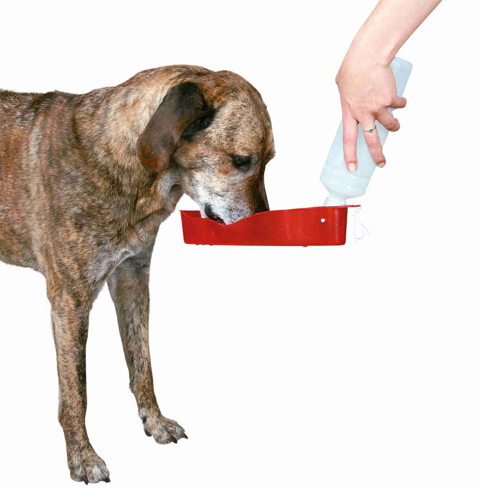 Trixie Boca sa činijom za pse 2459 - pogled 4