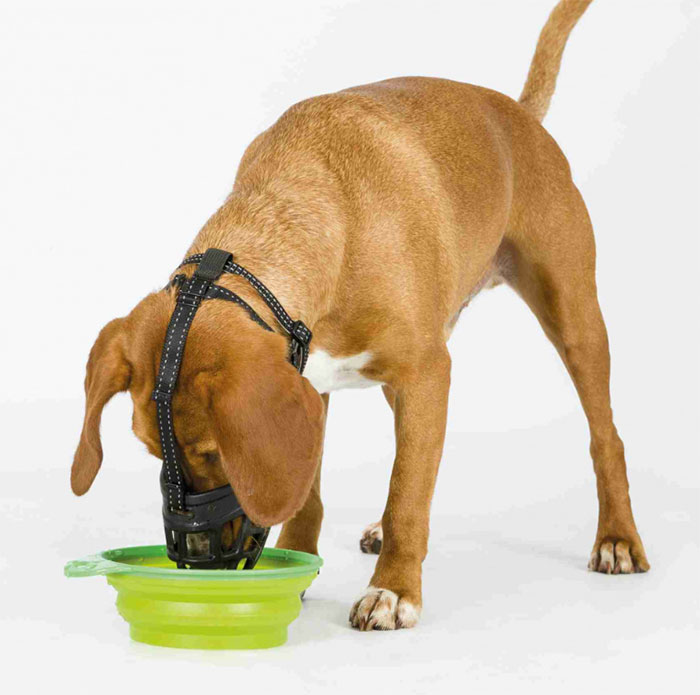 Silikonska korpa za njušku veličina S Flex Trixie 17611 - pogled 4