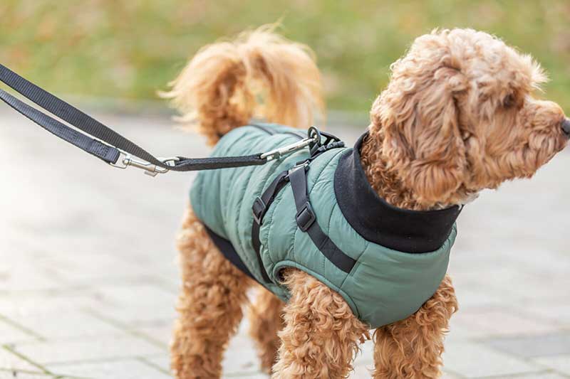 Odelo sa integrisanim amom za pse leđa 45cm Pontis sage Trixie 6803426 - pogled 4