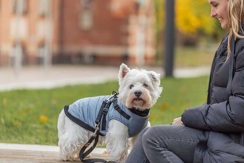 Odelo sa integrisanim amom za pse leđa 30cm Pontis grey-blue 6803442 - pogled 4