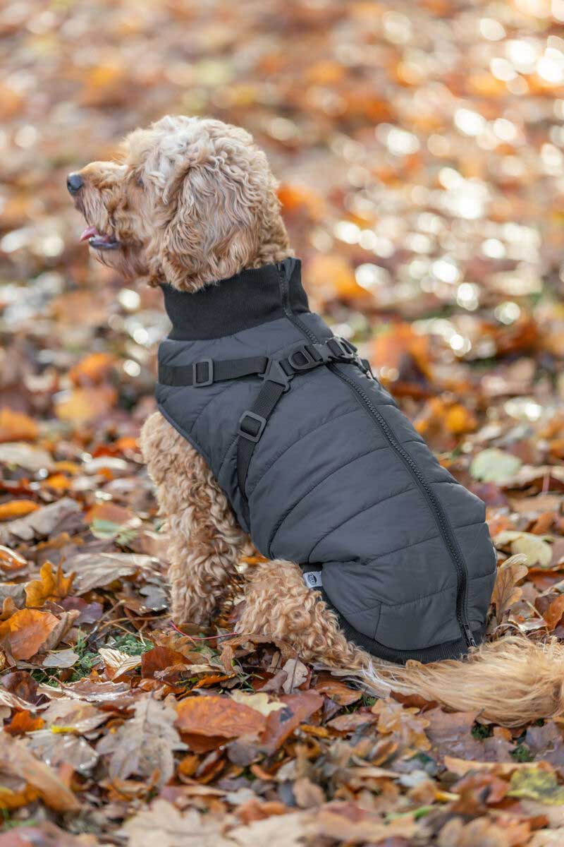 Odelo sa integrisanim amom za pse leđa 30cm Pontis dark blue Trixie 6803432 - pogled 4