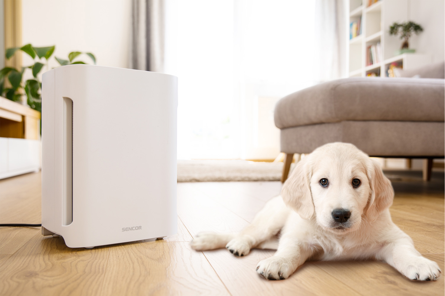 SENCOR Prečistač vazduha SHA6400WH - pogled 4