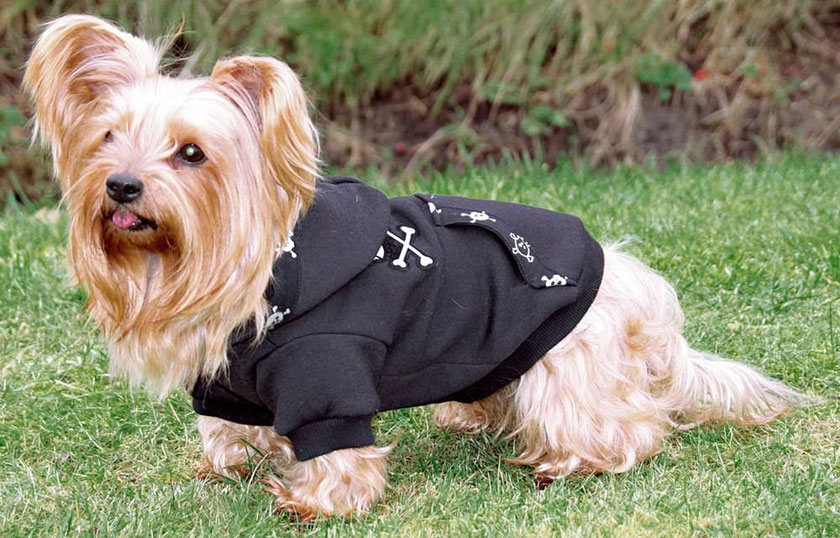 Trixie Odelo za psa North Bay 26-33cm 30832 - pogled 4