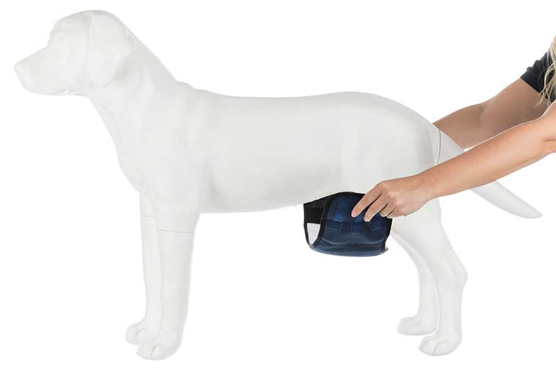 Pojas za pse mužjake veličina S Trixie 23661 - pogled 4