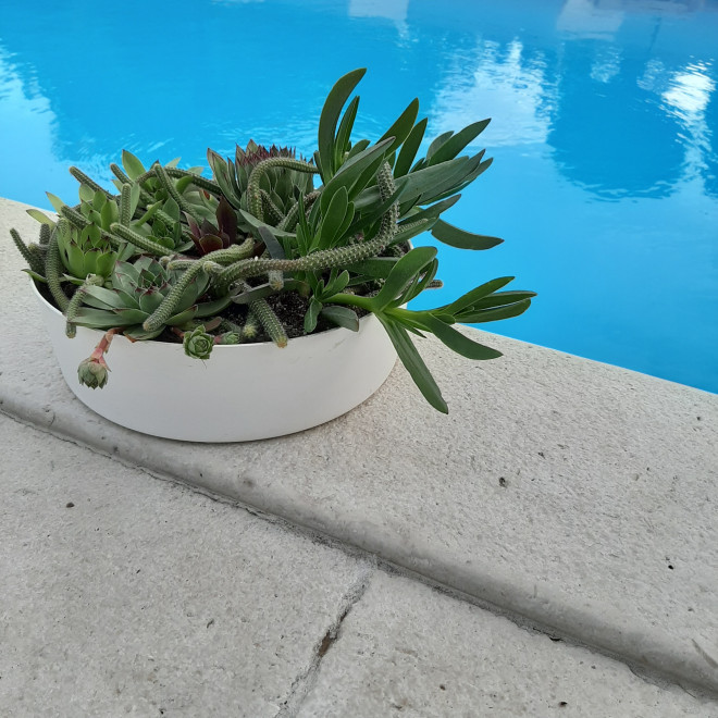 Zen plitka saksija 27cm bela - pogled 4