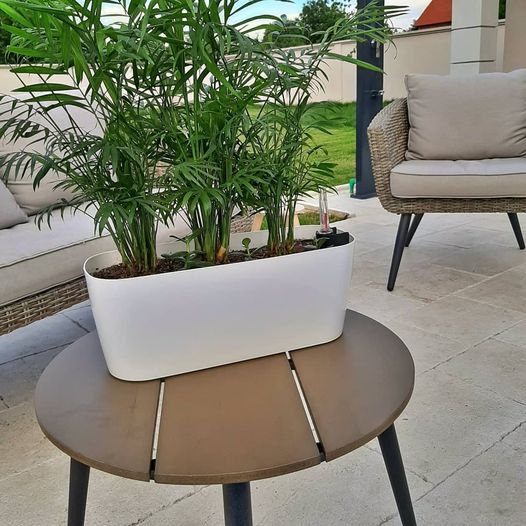 Žardinjera sa sistemom za samozalivanje Pearl 40cm bela - pogled 4