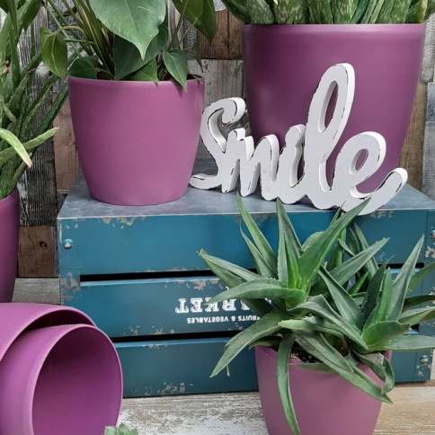 Komplet saksija u mat roze boji sa unutrašnjom tacnom 8 komada - pogled 4