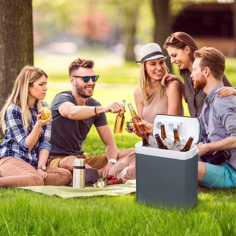 Prenosni frižider za kuću ili automobil Sa funkcijama hlađenja i grejanja 12V/220V Royalty Line CB30  - pogled 5