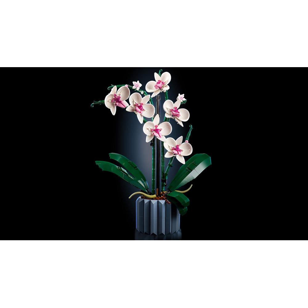 LEGO® Creator Expert Orhideja 10311 - pogled 5