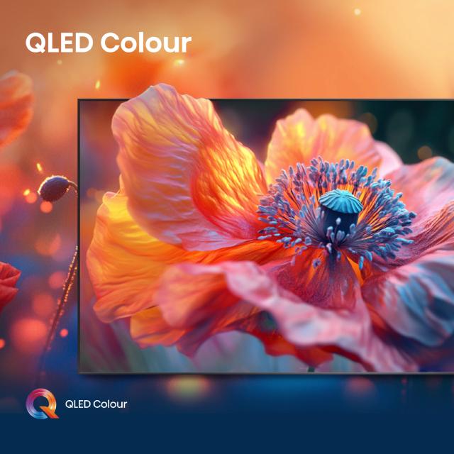 HISENSE 65 inča 65E7Q QLED 4K UHD Smart TV - pogled 5