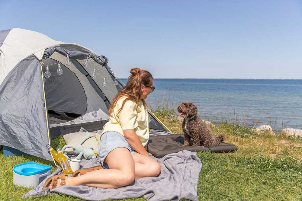 Putna prostirka za pse Samoa Classic 90x60cm Trixie 282670 - pogled 5