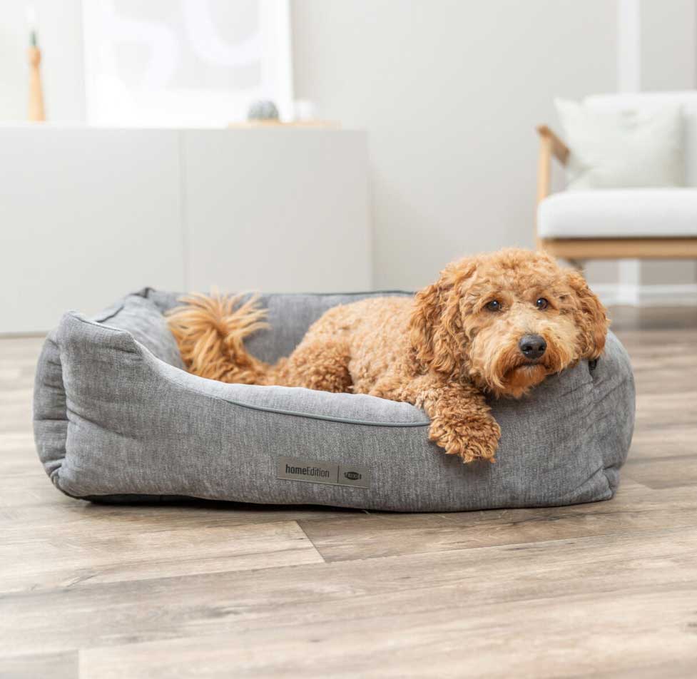 Ortopedski krevet za pse 80x60cm Lennox Vital grey Trixie 371301 - pogled 5