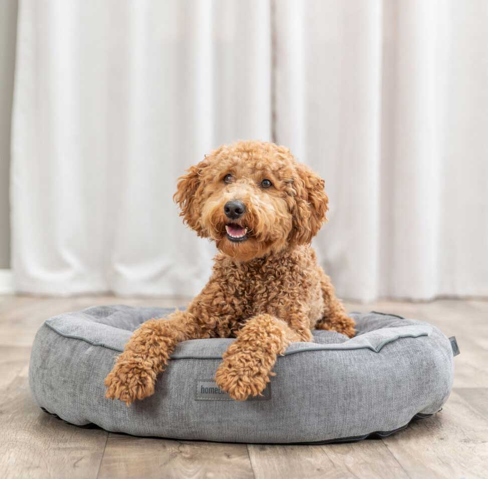 Okrugli ortopedski krevet za pse 70cm Lennox Vital grey Trixie 371322 - pogled 5