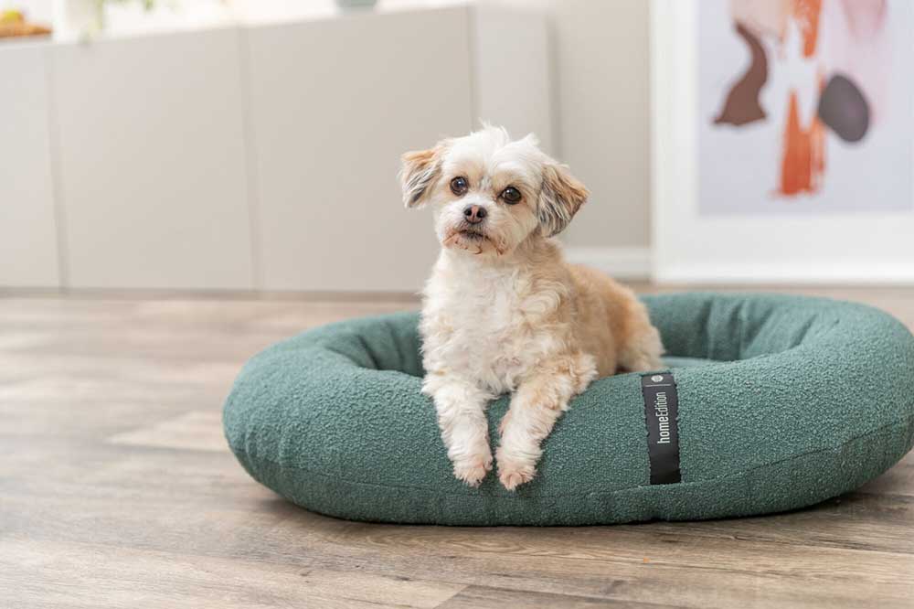 Ovalni ortopedski krevet za pse 115cm CityStyle Vital dark green Trixie 373015 - pogled 5