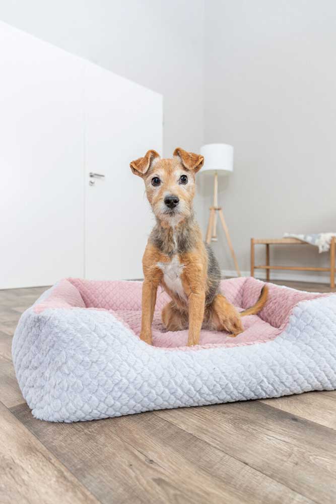 Krevet za male pse Kaline Mio grey 65x50cm Trixie 389712 - pogled 5