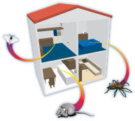 Profesionalni Rasterivač Glodara, Insekata i malih životinja Weitech WK 0600 - pogled 5