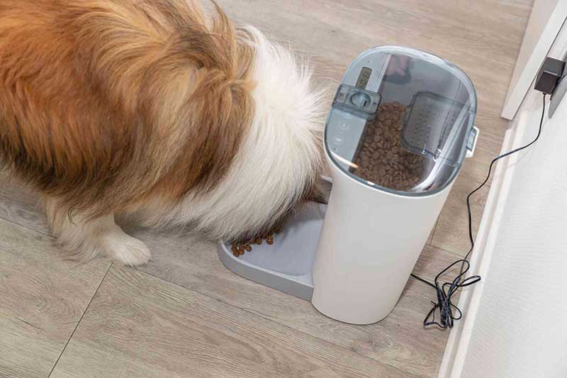 Automatska hranilica za pse i mačke TX8 2.0 Trixie 24343 - pogled 5