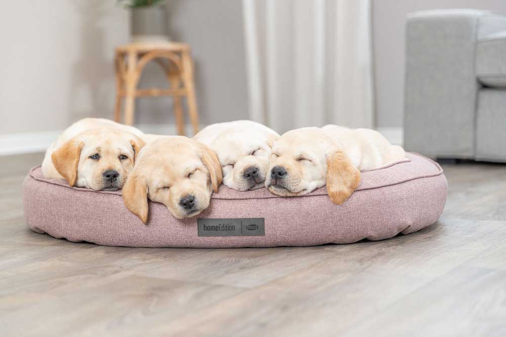 Krevet za psa 70x50cm ovalni Felicia antique pink Trixie 37880 - pogled 5