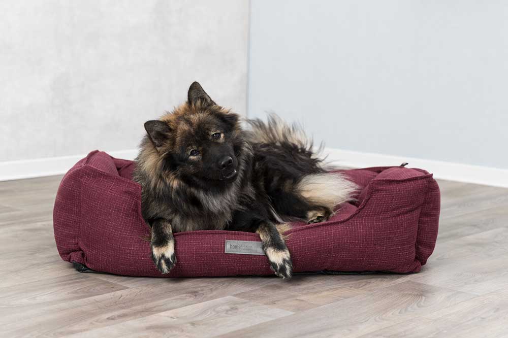Krevet za pse Talis bordeaux 100cm Trixie 37589 - pogled 5