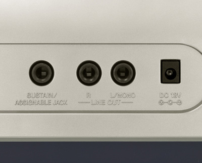 Casio WK-3800 profesionalna klavijatura - pogled 5