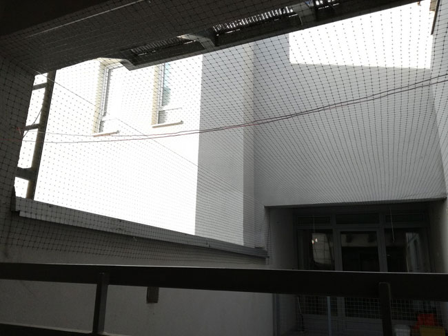 Zaštita od golubova Mreža protiv ptica T1 1x20m - pogled 5