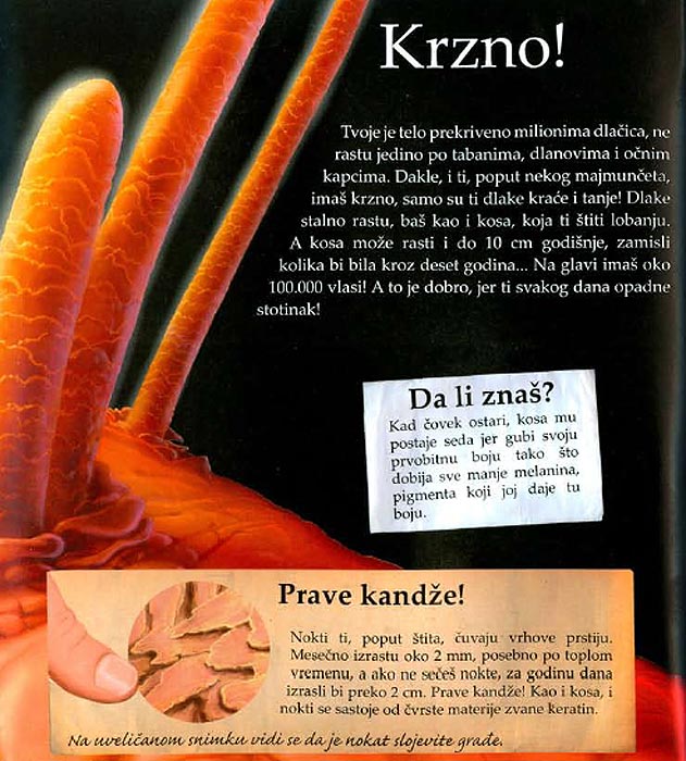 LaRousse Čovekovo telo, Valeri Vido - pogled 5