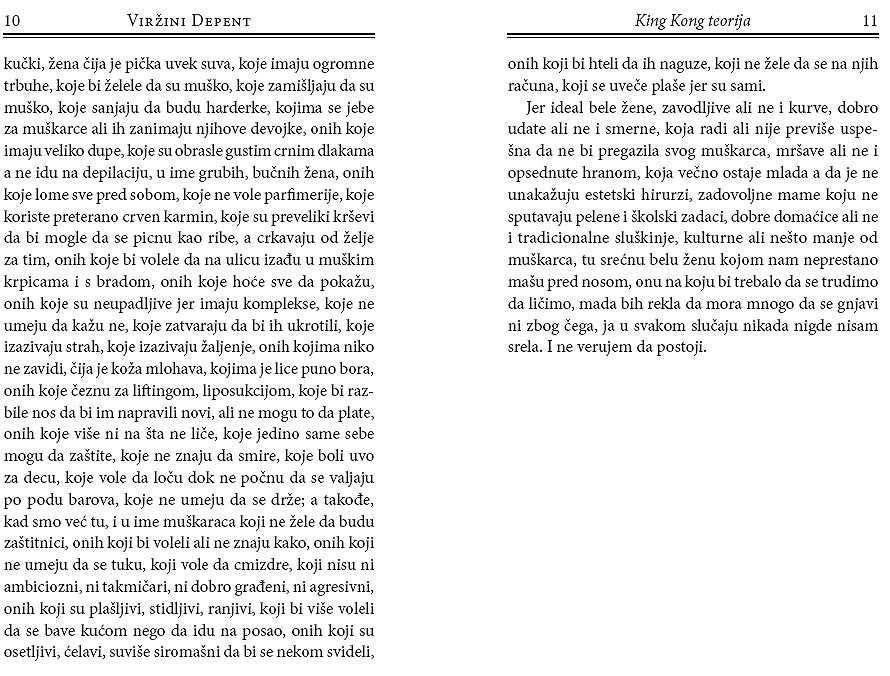 King Kong Teorija, Viržini Depent - pogled 5