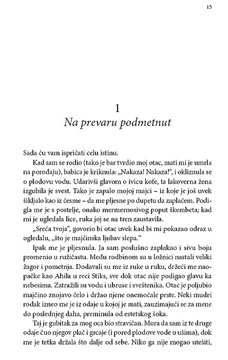 Umetnine I Čudesa, Gregori Norminton - pogled 5