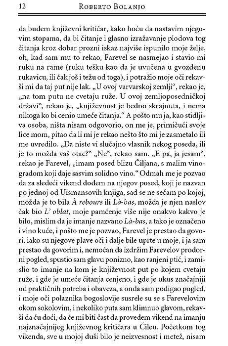 Čile Noću, Roberto Bolanjo - pogled 5