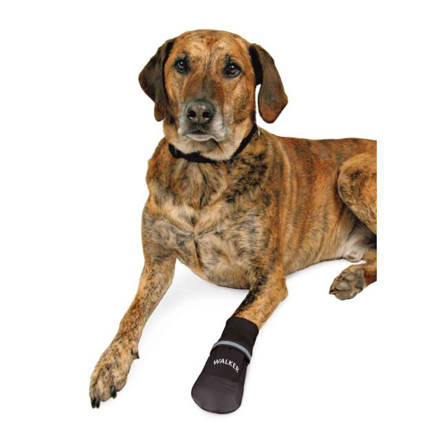 Walker Care Comfort Zaštitne čizmice za pse 2 komada veličina L Trixie 19473 - pogled 5