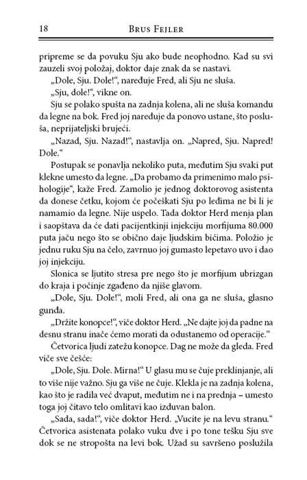 Pod Šarenim Svodom, Brus Fejler - pogled 5