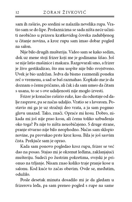 Most, Zoran Živković - pogled 5