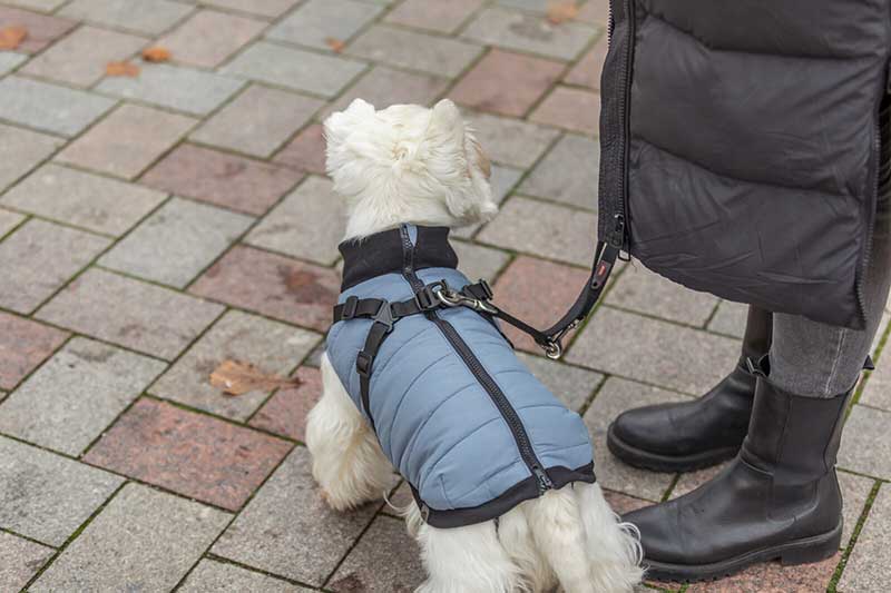 Odelo sa integrisanim amom za pse leđa 40cm Pontis grey-blue Trixie 6803445 - pogled 5