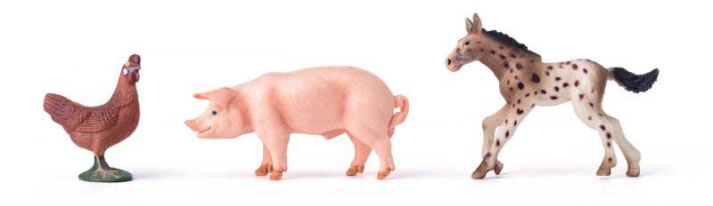 Farma sa domaćim životinjama, ljudima i traktorom Romano Woodyland - pogled 5