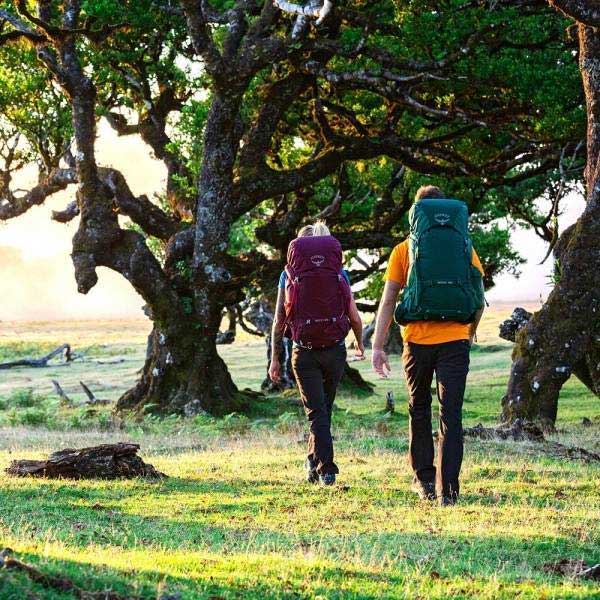 Planinarski ranac Osprey Rook 65 Mallard Green - pogled 5