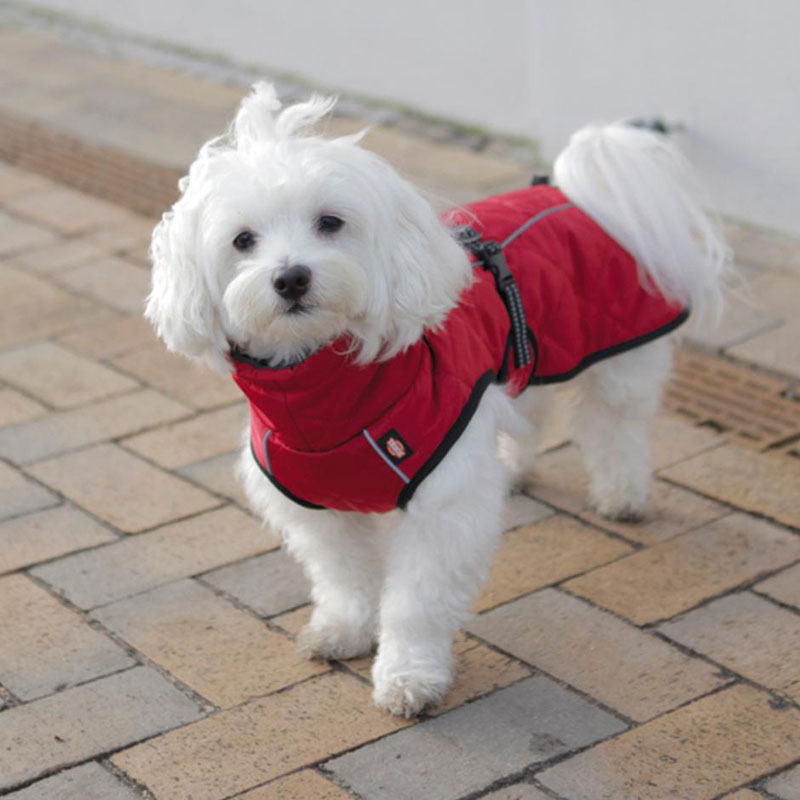 Jakna za pse Minot leđa 36cm Trixie 67983 - pogled 5