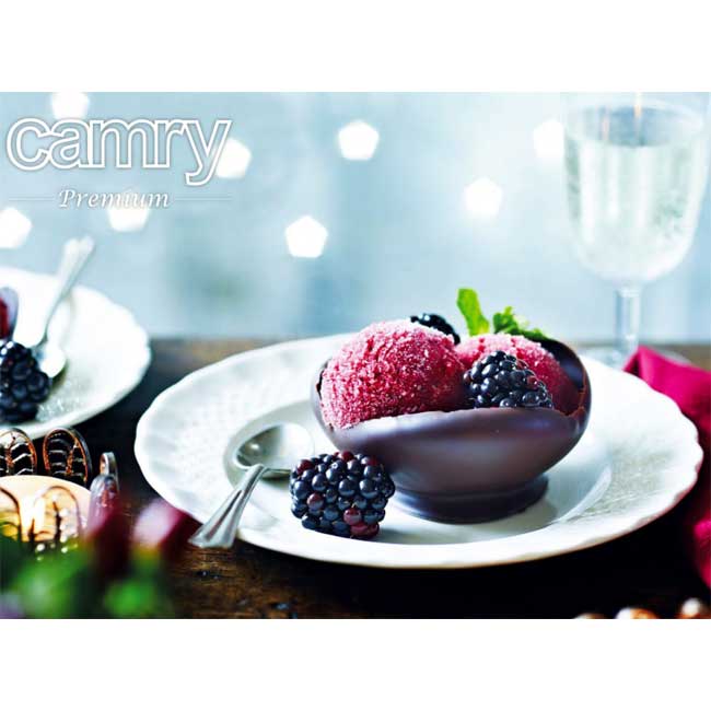 Aparat za pravljenje sladoleda Camry CR4481 - pogled 5