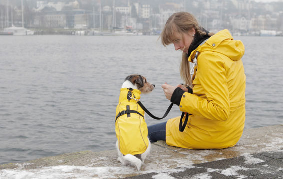 Kišni mantil za psa Vimy Yellow leđa 30cm Trixie 67971 - pogled 5